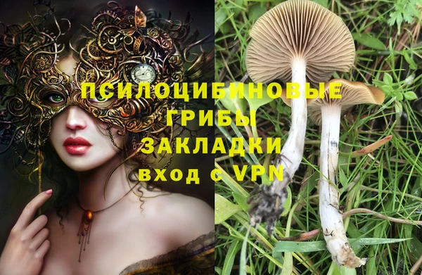 PSILOCYBIN Костерёво