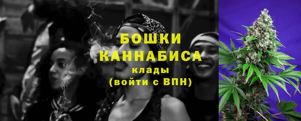 PSILOCYBIN Костерёво