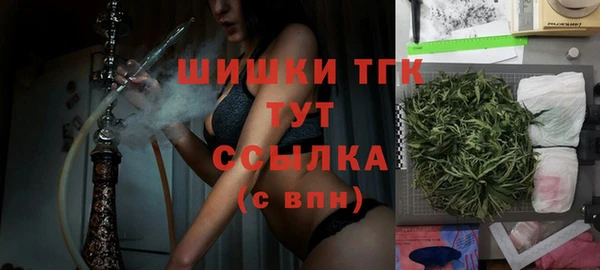 PSILOCYBIN Костерёво