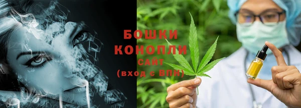 PSILOCYBIN Костерёво