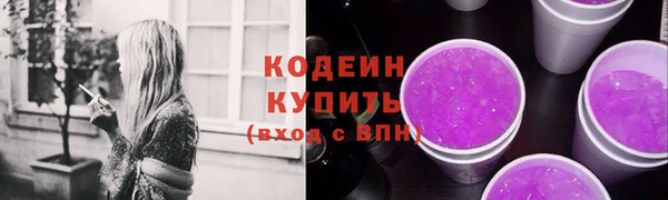 прущий лед Корсаков