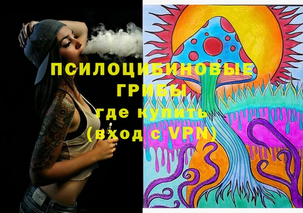 PSILOCYBIN Костерёво