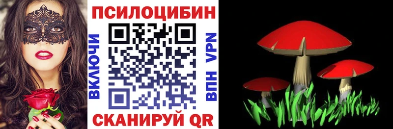 Купить где  Лодейное Поле  Псилоцибиновые грибы Cubensis 